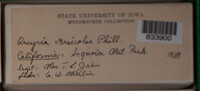Image Associated With the Occurence